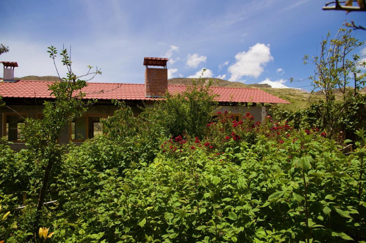 פוטרה Hostal Vientos Del Altiplano מראה חיצוני תמונה