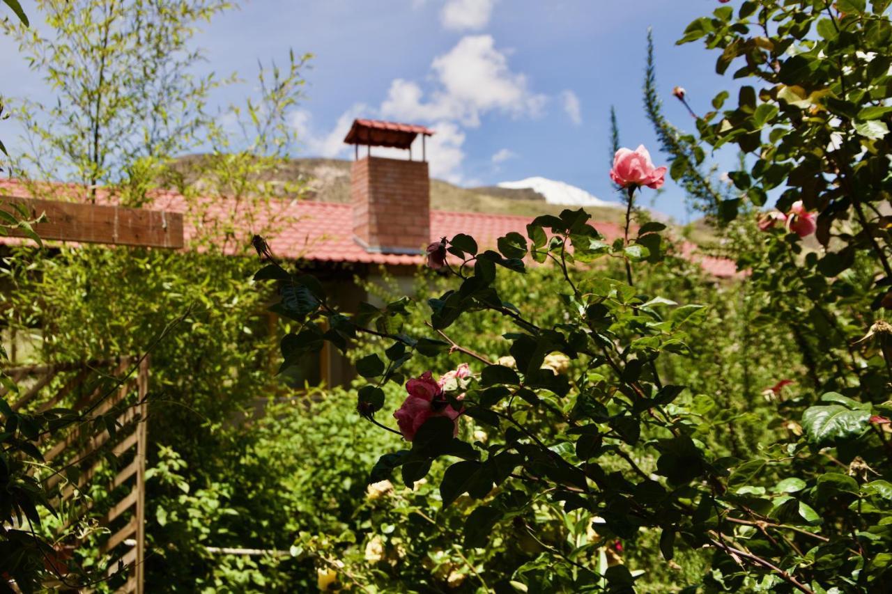 פוטרה Hostal Vientos Del Altiplano מראה חיצוני תמונה