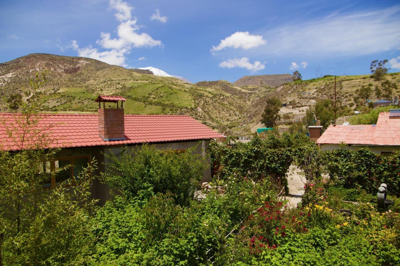 פוטרה Hostal Vientos Del Altiplano מראה חיצוני תמונה