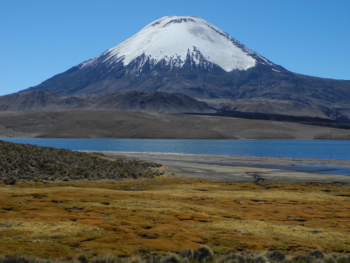 פוטרה Hostal Vientos Del Altiplano מראה חיצוני תמונה